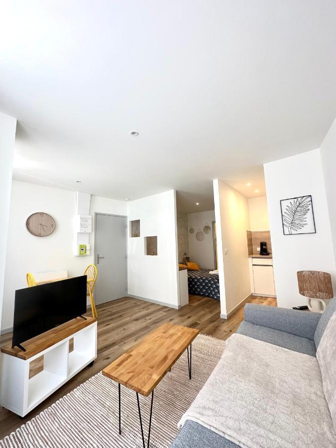 Bel Appartement En Plein Centre Ville Limoges Dış mekan fotoğraf